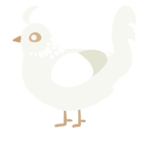 A white chicken with a neck-speckle pattern
