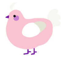 Peaches, a rose and white chicken