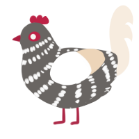 A grey and cream chicken with a bar pattern
