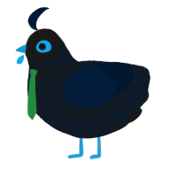 A sable and tumblr chicken with a double-lace pattern