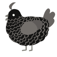 A black and grey chicken with a lace pattern