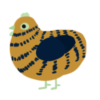 A gold and tumblr chicken with a bar pattern