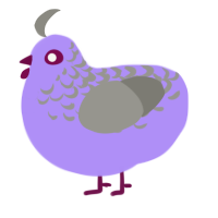 太鸡 Tai Ji, a lilac and ash chicken with a half-lace pattern