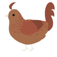 A brown and russet chicken with a half-lace pattern