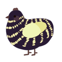 Flickering Light, a navy and lemon chicken with a bar pattern