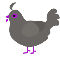 A grey chicken