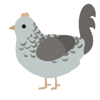 A silver and grey chicken with a half-lace pattern