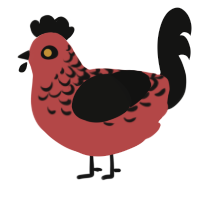 Akatsuki, a red and black chicken with a half-lace pattern