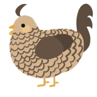 A beige and bark chicken with a lace pattern