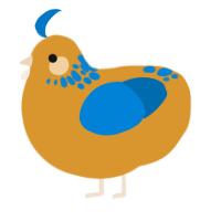 A orange and sapphire chicken with a neck-speckle pattern