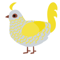 A mist and yellow chicken with a lace pattern