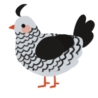 A mist and sable chicken with a lace pattern