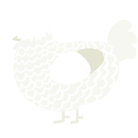 ice storm, a white chicken with a lace pattern