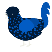 A tumblr and ultramarine chicken with a speckle pattern