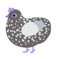 Thing 1, a grey and mist chicken with a speckle pattern