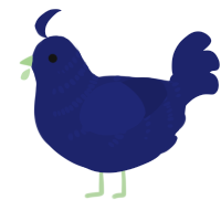 A navy chicken with a half-bar pattern