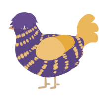 Four The Win, a overcast and honey chicken with a bar pattern