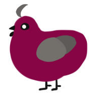 A maroon and grey chicken
