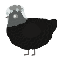 A black and sable chicken with a lace pattern