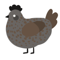 A grey and bark chicken with a speckle pattern