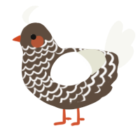 A bark and white chicken with a lace pattern
