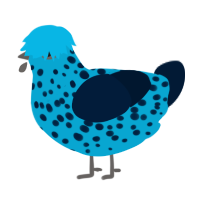 A cerulean and tumblr chicken with a speckle pattern