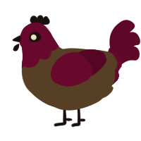 Cinca the Camera, a bark and maroon chicken with a head pattern