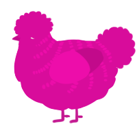 A fuchsia chicken with a half-bar pattern