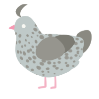 A silver and ash chicken with a speckle pattern