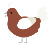 Cinnabun, a russet and white chicken