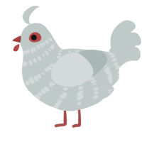 Your Clucky Day, a silver chicken with a bar pattern