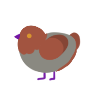 A ash and russet chicken with a head pattern