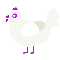 A white chicken