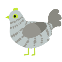 (unnamed), a silver and ash chicken with a bar pattern