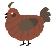 A russet and bark chicken with a bar pattern