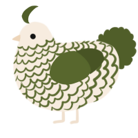 A cream and olive chicken with a lace pattern