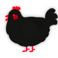 A black chicken