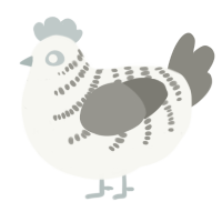A white and ash chicken with a half-bar pattern