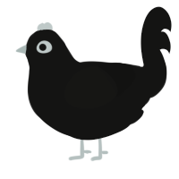 A black chicken