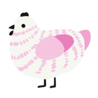 Pedra, a white and pink chicken with a bar pattern