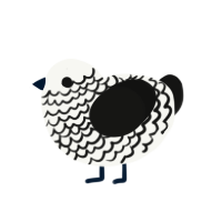 Zika, a white and black chicken with a lace pattern