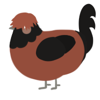 lentil, a russet and sable chicken with a head pattern