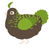 A bark and chartreuse chicken with a half-lace pattern