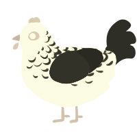 Antique Plate, a mist and sable chicken with a half-lace pattern