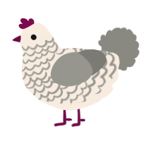 A cream and ash chicken with a lace pattern
