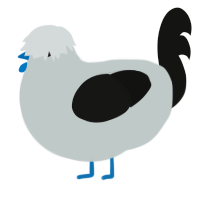 A silver and black chicken