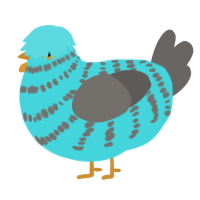 A aqua and grey chicken with a bar pattern
