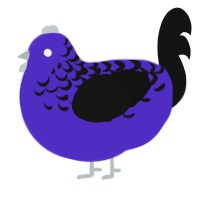 A indigo and black chicken with a half-lace pattern
