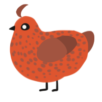 Rustie, a vermilion and russet chicken with a speckle pattern