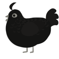 Soot Sprite, a black and sable chicken with a half-lace pattern